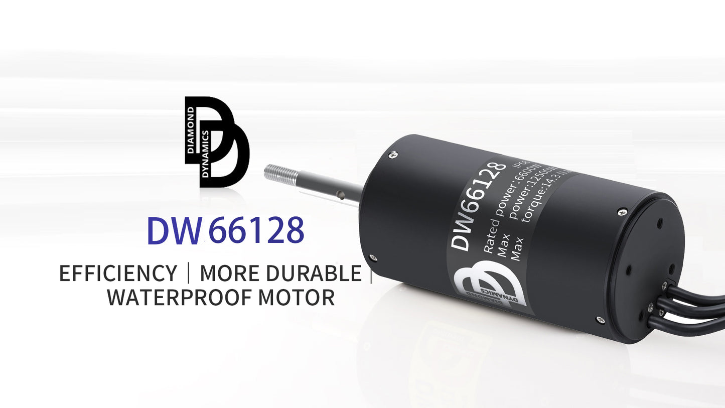 DW 66128 Waterproof  IP68  39-78V  6600W 7.5N.M Brushless Motor