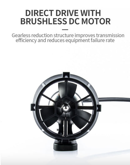 Brushless DC Motor